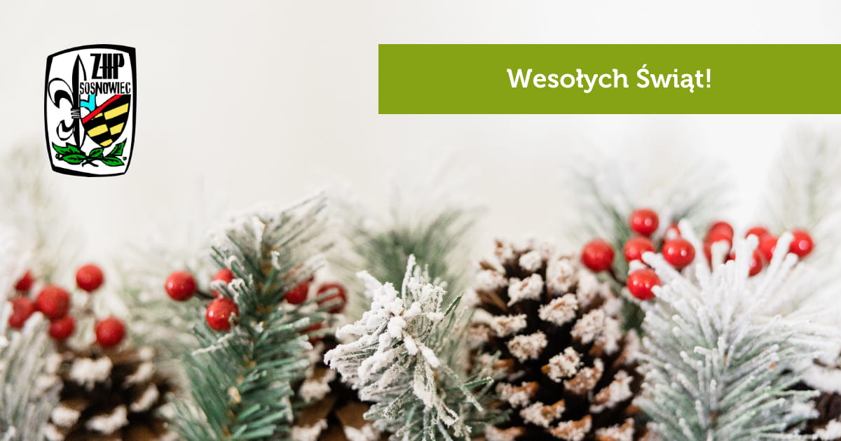 Życzenia Świąteczne 2024