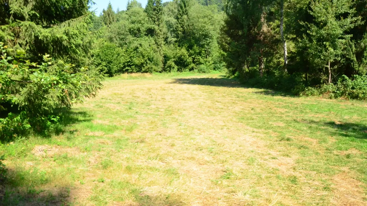 Stanica DWERNICZEK - Plac C