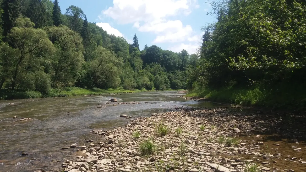 Stanica DWERNICZEK - plaża