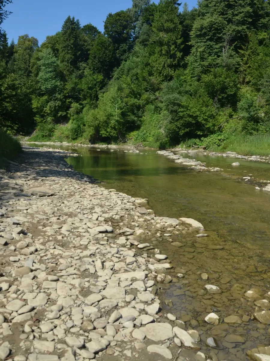 Stanica DWERNICZEK - plaża